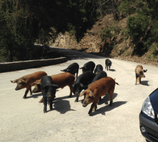 Capture d_écran 2018-03-13 à 17.44.38